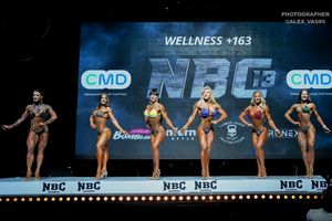 WELLNESS +163